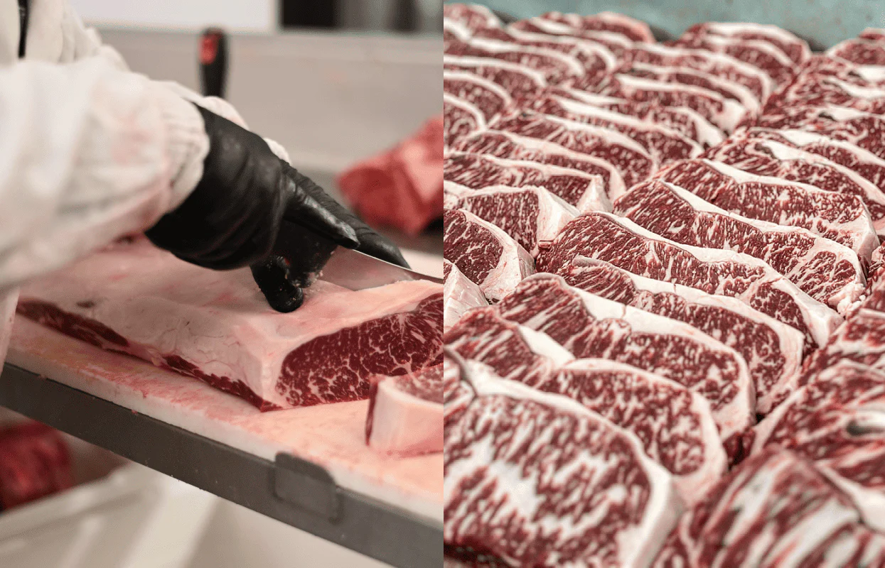 Excellence in Every Ingredient