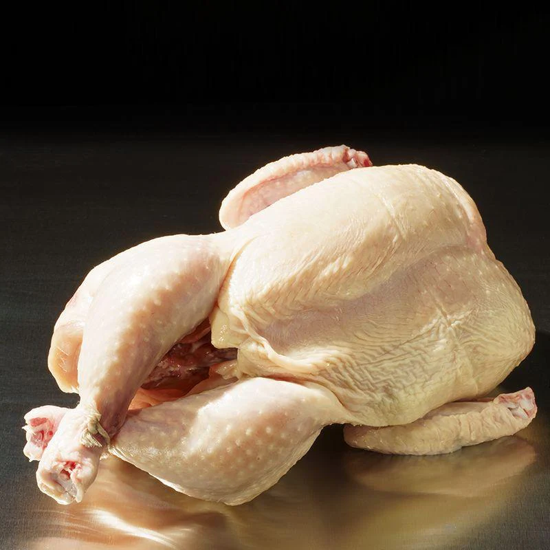 Chicken Lovers - Image 12